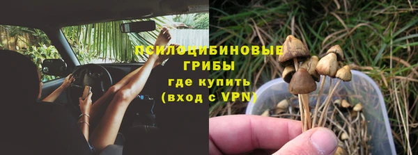 ешки Абинск